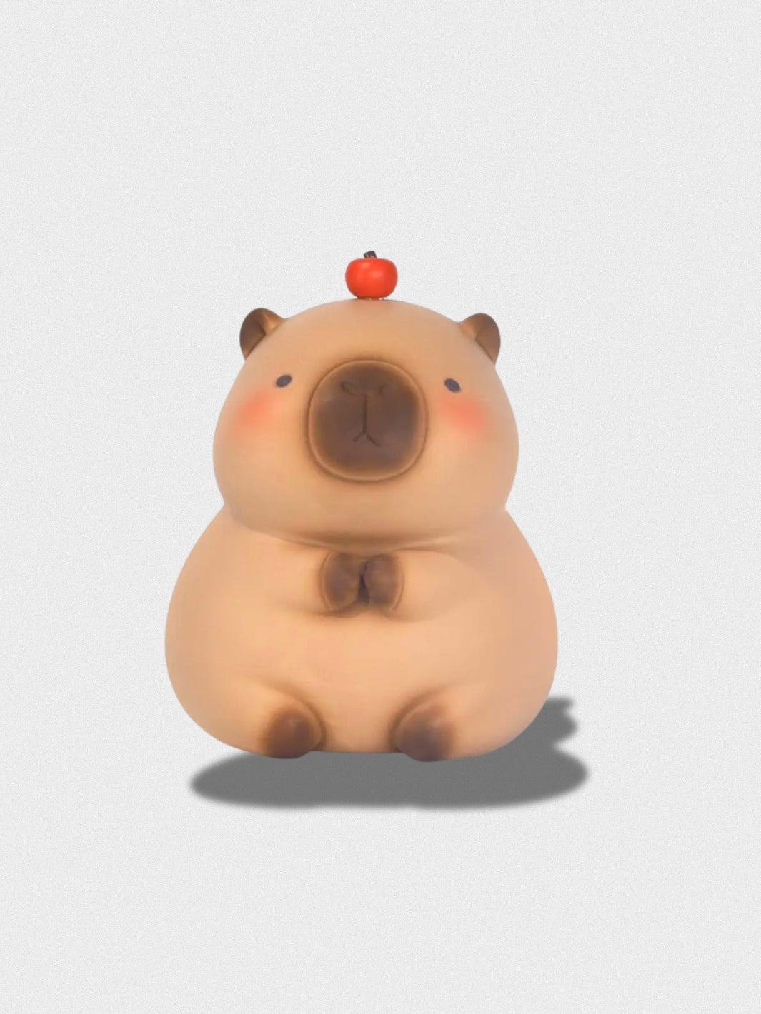 Tirelire Le Cochon D'Inde