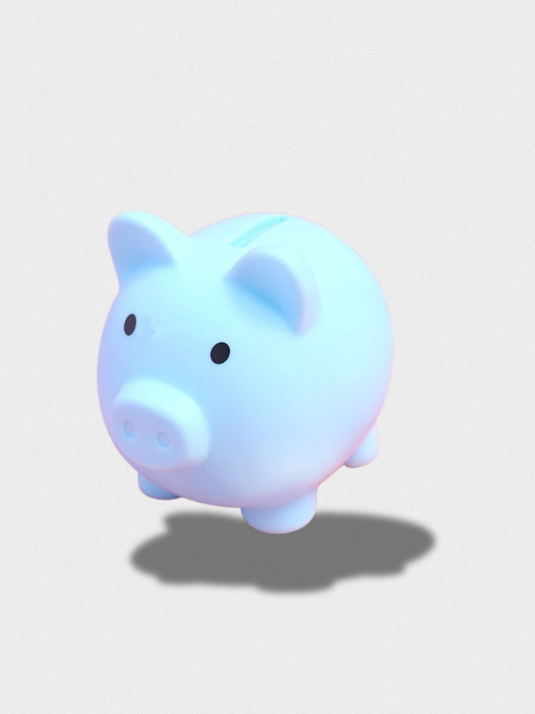 Tirelire Le Cochon