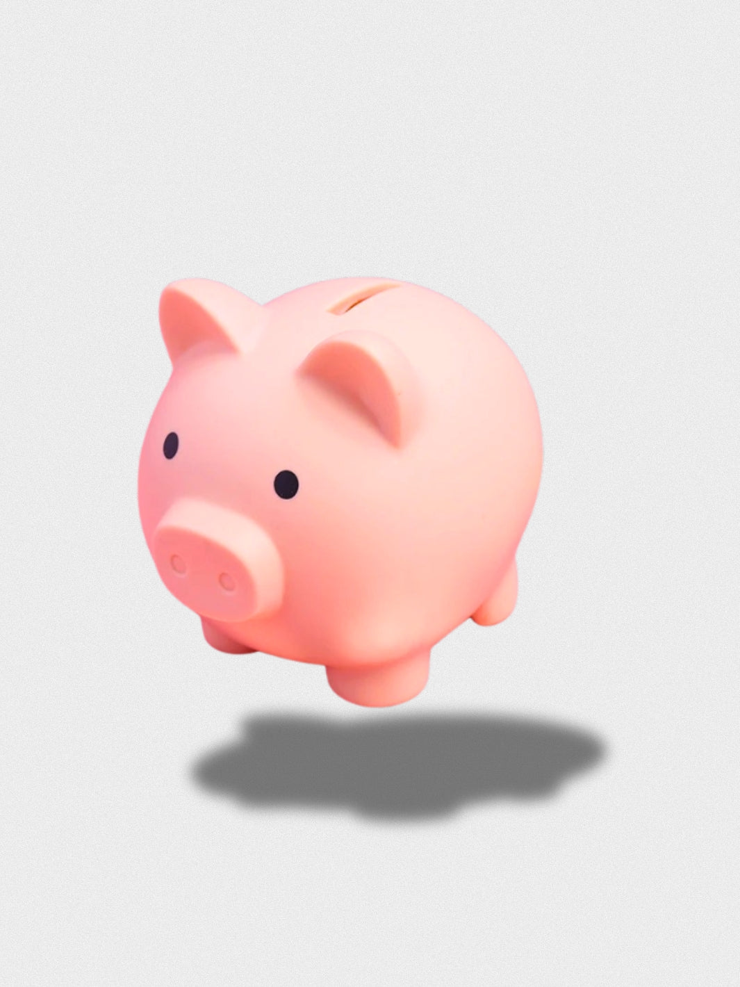 Tirelire Le Cochon
