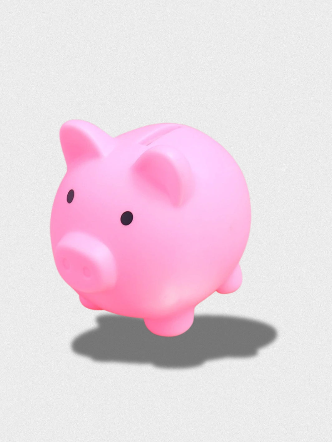 Tirelire Le Cochon